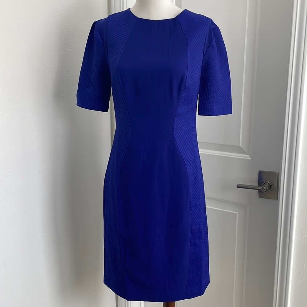 NWT Ted Baker mesh panel bodycon dress